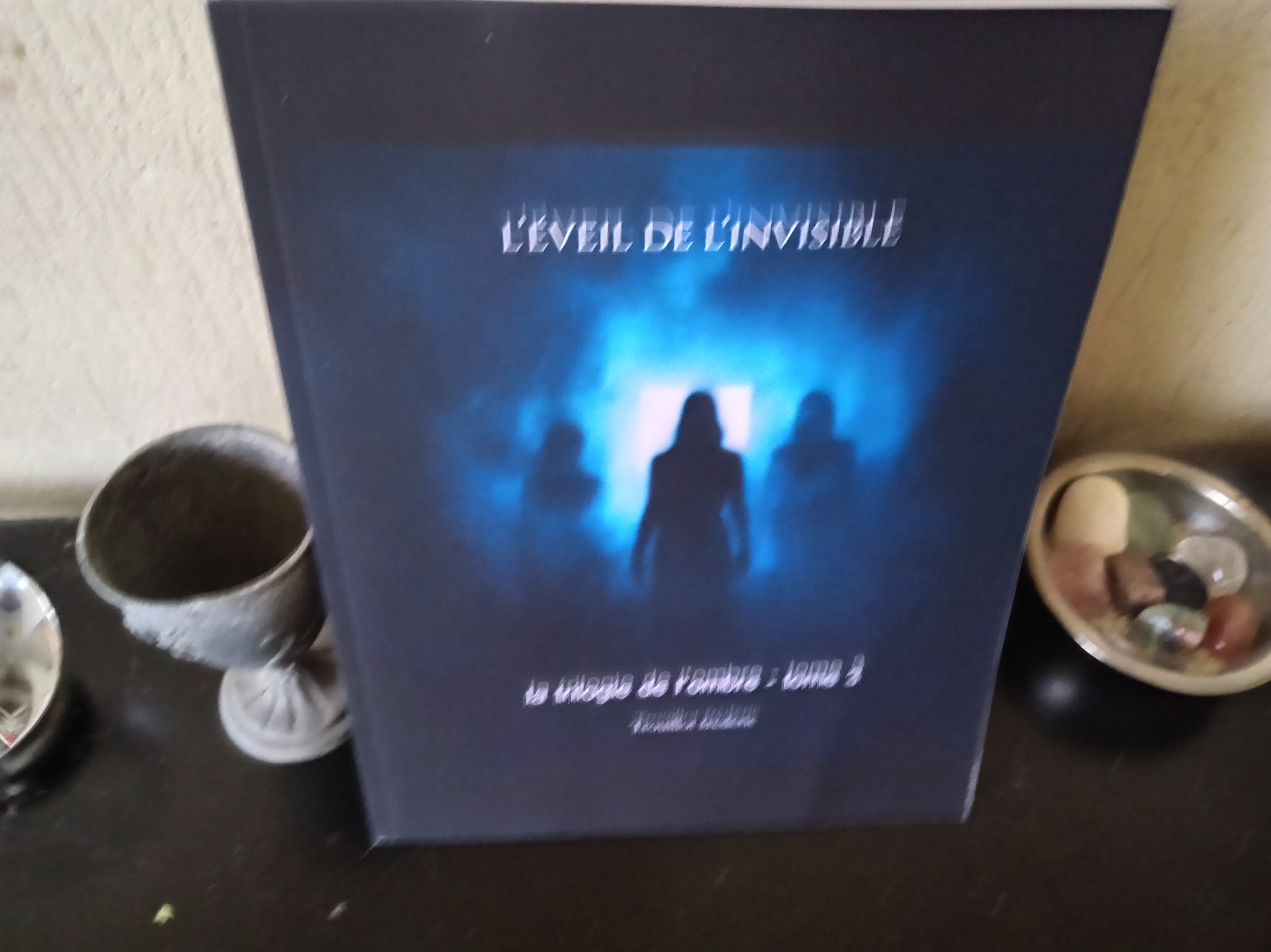 L'Éveil de l'Invisible