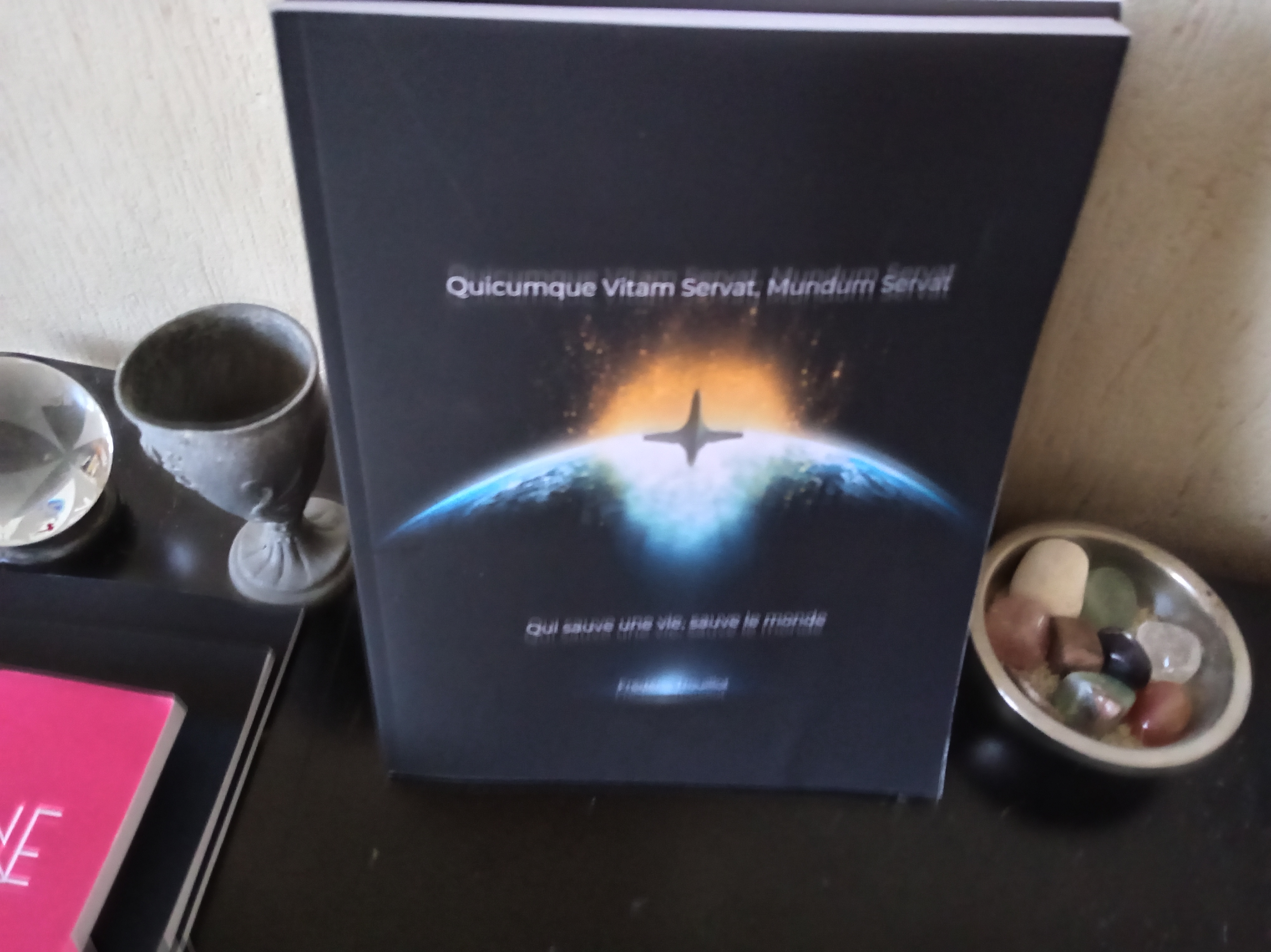 Qui sauve une vie sauve le monde